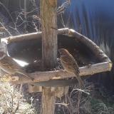 photo 2019-03-05 10-58-39