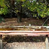 photo 2021-10-12 13-37-12