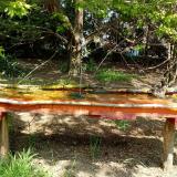 photo 2021-04-26 11-59-38