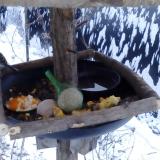 photo 2019-01-22 07-52-49