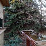 photo 2021-11-18 15-19-49