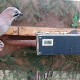 photo 2021-02-25 07-53-25