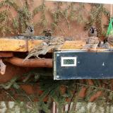 photo 2021-03-04 13-26-56