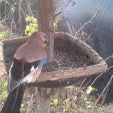 photo 2019-12-19 09-37-45