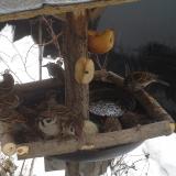 photo 2019-01-28 14-43-39