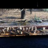 photo 2021-11-24 12-43-47