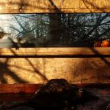 photo 2022-01-24 08-51-51