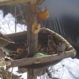 photo 2019-01-31 10-05-02