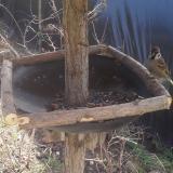 photo 2019-03-16 11-31-03