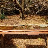 photo 2021-10-26 13-06-19