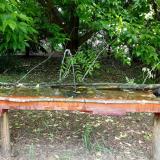 photo 2021-05-25 11-55-45