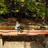 photo 2021-10-12 12-27-54