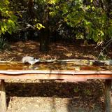 photo 2021-10-12 12-26-03