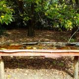 photo 2021-10-08 11-32-03