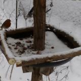 photo 2019-01-08 14-18-54