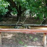 photo 2021-07-13 08-24-52