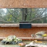 photo 2023-10-26 13-34-22