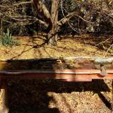 photo 2021-10-24 11-58-36