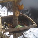 photo 2019-01-31 10-26-41