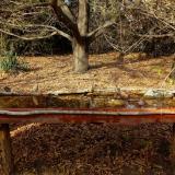 photo 2021-10-26 14-33-25