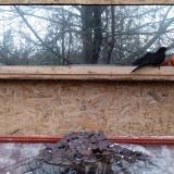 photo 2022-01-20 15-59-25