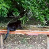 photo 2021-05-24 12-20-21