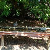 photo 2021-09-26 11-46-51