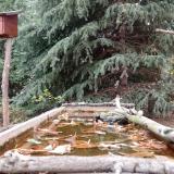 photo 2023-10-19 15-03-43