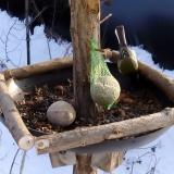 photo 2019-01-11 14-07-39