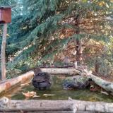 photo 2023-10-14 08-00-28