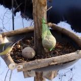 photo 2019-01-11 14-05-45