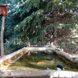 photo 2023-10-12 10-10-56