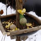 photo 2019-01-12 12-02-18