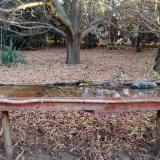 photo 2021-10-27 08-04-25