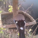 photo 2019-12-19 08-40-51