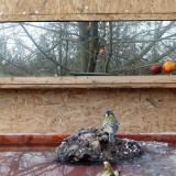 photo 2022-01-25 14-47-28