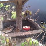 photo 2019-12-06 10-45-40