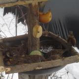 photo 2019-01-27 13-18-46