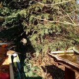 photo 2021-11-12 13-22-05