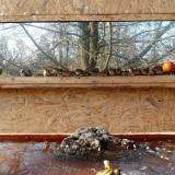 photo 2022-01-27 13-45-09