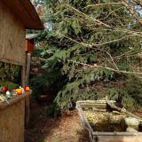 photo 2021-12-18 13-23-07