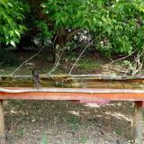 photo 2021-05-12 11-24-18