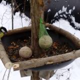 photo 2019-01-12 10-00-33