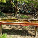 photo 2021-04-22 10-03-48