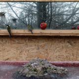 photo 2022-01-16 08-45-39