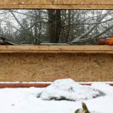 photo 2022-01-22 09-35-29