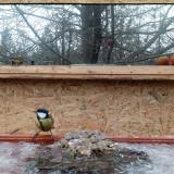 photo 2022-01-20 09-31-08