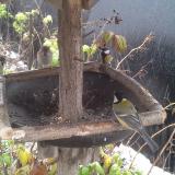 photo 2019-12-02 11-54-35