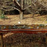 photo 2021-10-26 14-39-35