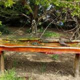 photo 2021-04-25 11-32-04